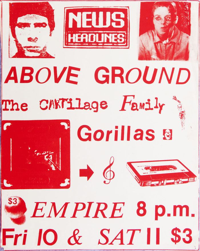 Admin_thumb_p1030534_above_ground_cartilage_gorillas_1983_1600